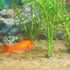 52 Pcs Aquarium Plant Weights, Anchors for Fish Tank, Stops Plants from Floating in the Aquarium