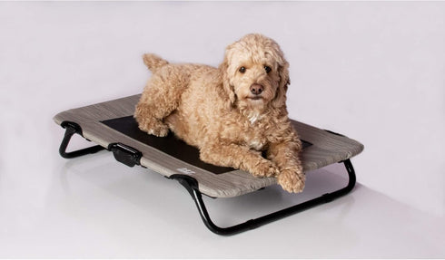 Lifestyle Pet Cot Elevated Bed, Premium Tear Resistant Cooling Mesh, Lightweight & Portable, No Assembly Required, 3