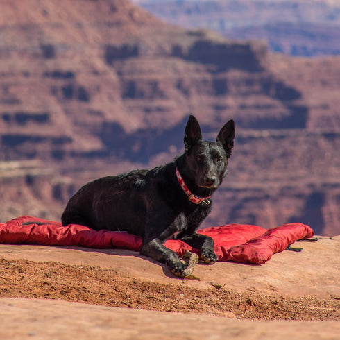 Kurgo Waterproof Dog Bed, Portable Outdoor Bed Roll for Pets, Travel Dog Bed for Hiking, Camping, Chili Red, Medium