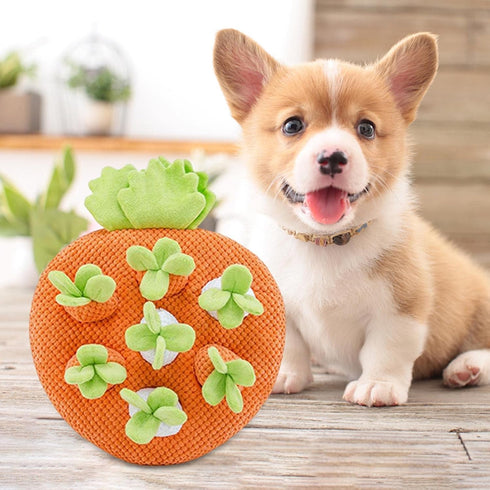 Leefasy 7 Funny Carrot Toys Hole Interactive Toys Decor for Indoor Cats Puppy