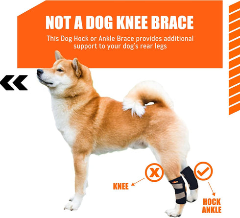 NeoAlly Short Rear Leg Hock Brace, Dog Leg Brace for Rear Leg Support, Large, Black, 1 Pair