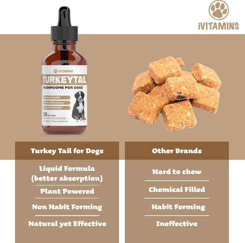 Turkey Tail Mushroom for Dogs - Immune System Boost, Healthy Prebiotic, Dog Mushroom Supplements, 1 fl oz
