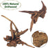 PINVNBY Natural Driftwood for Aquarium Fish Tank Decorations, Assorted Branches, 4 Pack