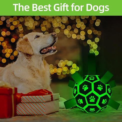 Glow in The Dark Dog Toys - Interactive Light Up Soccer Ball with Straps for Small & Medium Dogs, Puppy Gifts