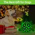 Glow in The Dark Dog Toys - Interactive Light Up Soccer Ball with Straps for Small & Medium Dogs, Puppy Gifts