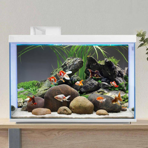 AWERT 48x18 inches Stone Aquarium Background, Aquatic Plant River Bed & Lake Seaweed Vinyl Background