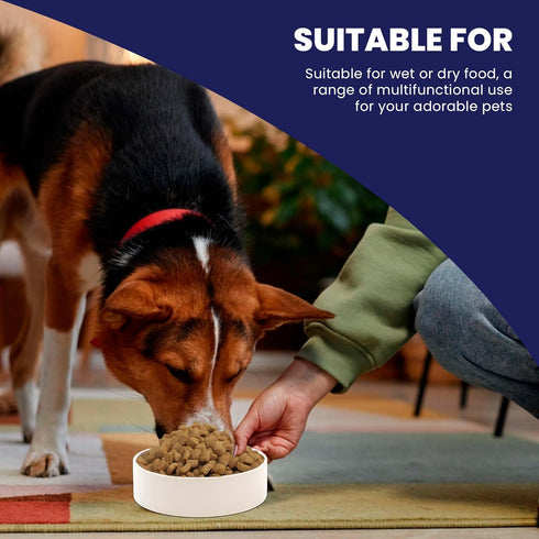 SPOT Ceramic Stoneware Pet Bowl, 9.5in Diameter - Heavy Duty Non-Slip Bowl for Medium and Large Dogs