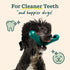 36 2 Pack WOOF - Bite n' Brush Refills Treats for the Dog Toothbrush Toy - Scrub Plaque and Tartar from Your Dog's