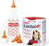 Beaphar Lactol Feeding Set for Pets