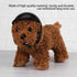 Dog Helmet Motorcycle Hard Safety Hat - Adjustable Windproof Snowproof Cap for Puppy Riding (Black)