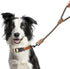 Mile High Life Short Dog Leash | Braided Cotton Rope Dog Leashes with Leather Tailor Tip | 18 Inch Dog Leash w Heavy Duty Metal Clasp | Wedding Dog Leash (Camel, 18 Inches)
