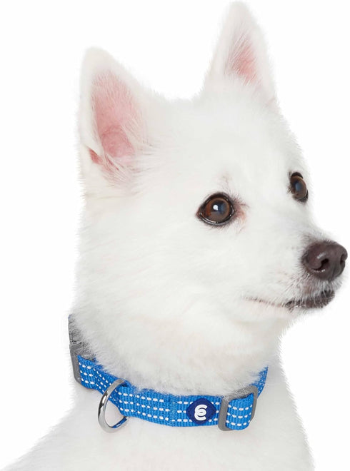 Blueberry Pet Essentials Reflective Matching Dog Collar Leash Harness Set, Adjustable Collar with Harness & 5 ft Leash