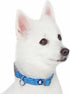 Blueberry Pet Essentials Reflective Matching Dog Collar Leash Harness Set, Adjustable Collar with Harness & 5 ft Leash