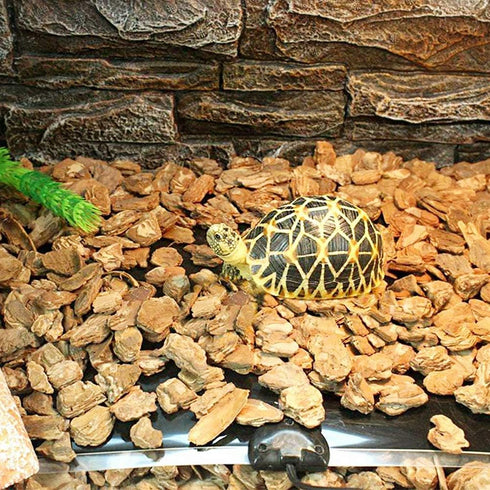 2 Pack Reptile Under Tank Heating Pad, Hermit Crab Heater with Temperature Control, Waterproof Heat Mat (11 x 11 Inch)