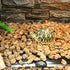 2 Pack Reptile Under Tank Heating Pad, Hermit Crab Heater with Temperature Control, Waterproof Heat Mat (11 x 11 Inch)