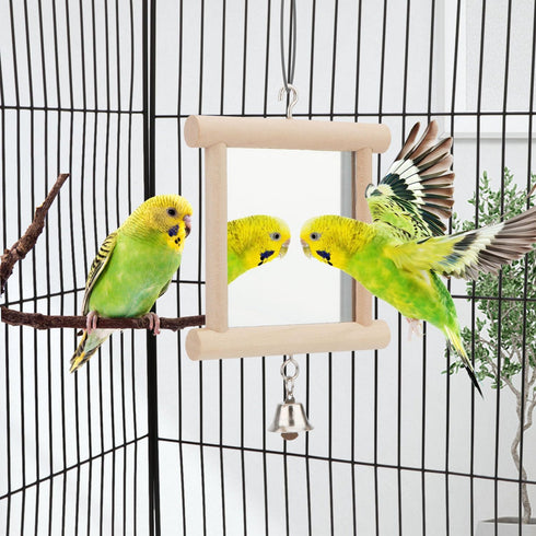 Hypeety Pet Bird Mirror with Bell Interactive Toy for Parrots, Macaws, African Greys, Budgies, Cockatoos, Parakeets,