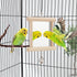 Hypeety Pet Bird Mirror with Bell Interactive Toy for Parrots, Macaws, African Greys, Budgies, Cockatoos, Parakeets,
