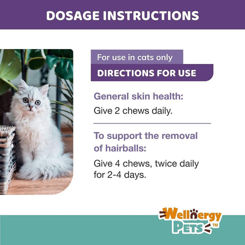 Natural Hairball Control Chews for Cats – Hairball Remedy with Omega 3 6, Zinc, Biotin, 70ct
