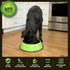 Iconic Pet Color Splash Stripe Non-Skid Pet Bowl, 32-Ounce, Green