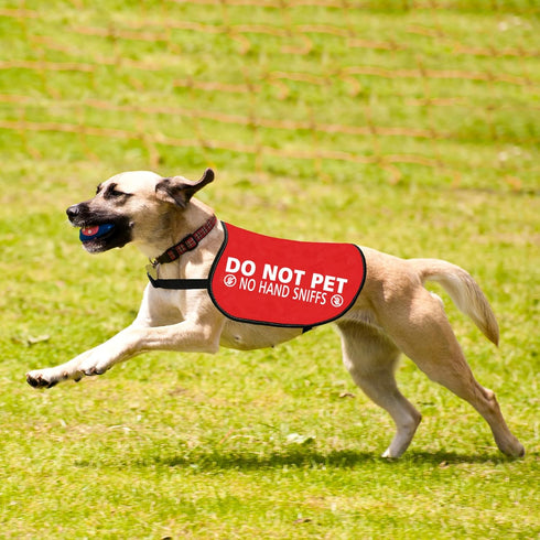 JXGZSO Nervous Dog Vest, Anxious Dog Slogan Warning Jacket, Do Not Pet, No Hand Sniffs, Size L