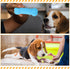 Jenaai 50 Pack Puppy Chew Toys for Teething, Soft Interactive Dog Toys, Assorted Styles for Small Dogs Anxiety Relief
