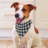 Personalized Dog Bandana with Name Custom Dog Scarf Neckwear Triangle Bibs Kerchief Pet Costume Accessories for Small