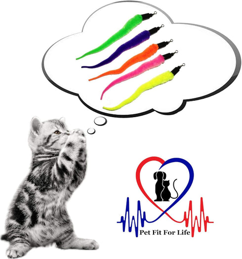 Pet Fit For Life Cat Wand Toy - 5-Piece Worm Teaser & Exerciser, Durable Flirt Pole for Feline Fitness