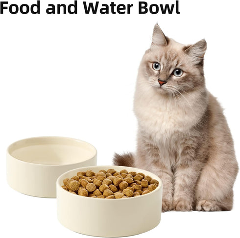 Set of 2 Ceramic Cat Bowls, 5.1 Inch Food and Water Dishes for Cats, 2pcs Beige Cat Feeder