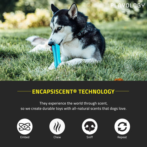 Playology Silver Dental Chew Stick Dog Toy for Large Senior Dogs (35lbs & Up), All-Natural Peanut Butter Scented