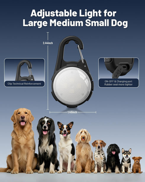Coolice 2 Packs 4 Dog Lights for Night Walking, LED Collar Light, Modes Light for Walking at Night, Waterproof Dogs