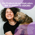 Odorcide Animal Odor Eliminator Spray - Ready to Use for Strong Odor, 8 oz