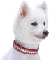 Blueberry Pet Reflective Jacquard Dog Collar with Neoprene Padding & Metal Buckle, Soft Adjustable Safety Collar in