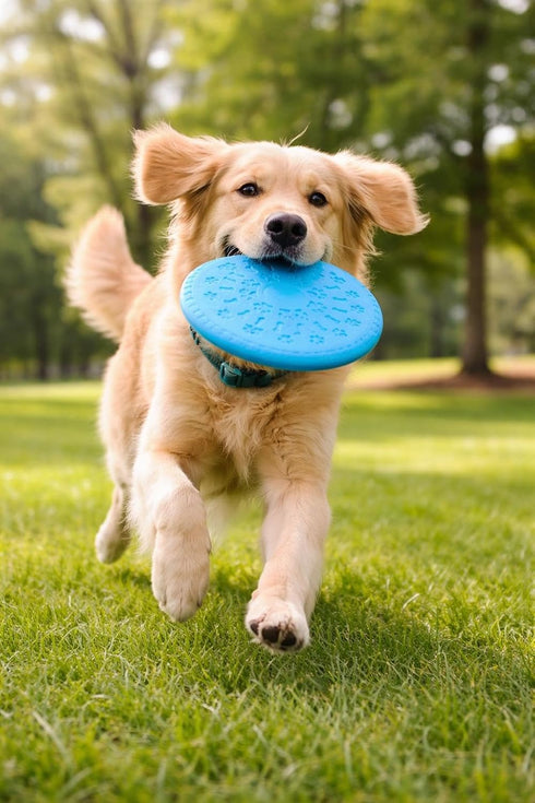 Generic 4-piece Dog Grooming Kit