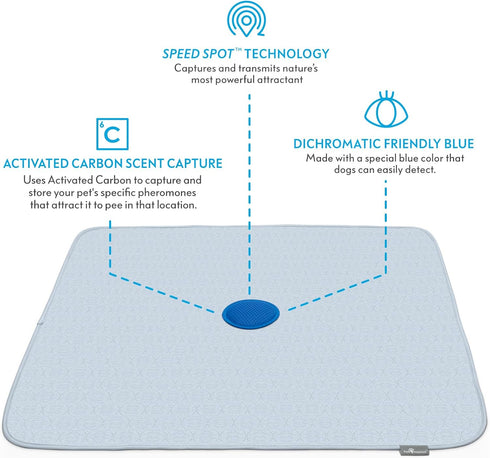 2ct (36x36 Inch Paw Inspired Speed Spot Go Here Potty Training Puppy Pads with Pop Up Urine Attractant Target |