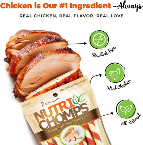 NutriChomps 5 inch Twists, Rawhide-Free Dog Treats, Healthy, 10 Count, Real Chicken Flavor