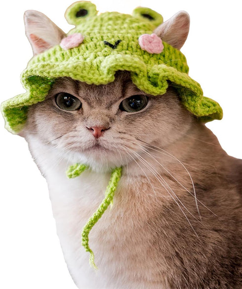QWINEE Cartoon Design Knit Cute Dog Hat - Soft Cat Hat for Halloween Christmas Party Costume (Green and Pink, Medium)