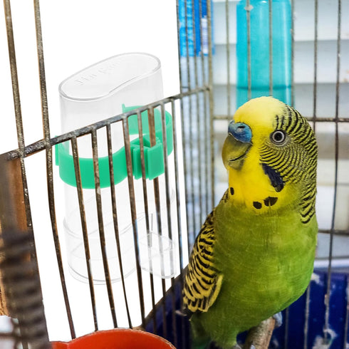 POPETPOP 2Pcs Automatic Bird Water Feeder, Transparent Plastic Water Dispenser for Parakeet Cockatiel Lovebird