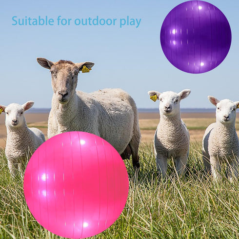 3 Pieces Pet Goat Ball Lamb Toy with Inflator Pump for Dog Training Exercise Ball for Outdoor Entertainment