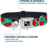 Dog Collar Seatbelt Buckle, Red Roses Polka Dots, Turquoise, 9 to 15 Inches, 1.0 Inch Wide