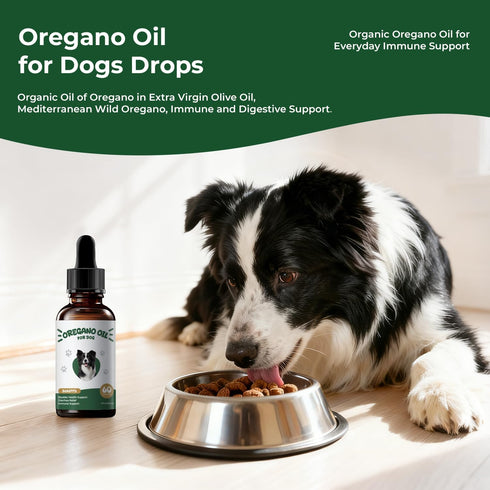 BrightBarki Immune 2 oz Oregano Oil for Dogs Drops, Organic Oil of Oregano in Extra Virgin Olive Oil, Mediterranean