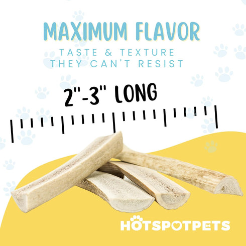 Split Elk Antlers for Small Dogs | Naturally Shed, Long-Lasting Chews for Dental Health - Made in The USA