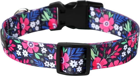 Maca Bates Designer Flower Dog Collar, Cute Spring Collars for Small Medium Large Puppies, Birthday Gift