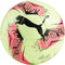 Puma Machine Stitched Futsal Soccer Ball