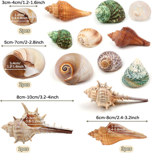 Hermit Crab Sea Shells Natural Coconut Shell Hut, Artificial Plants for Hermit Crab Tank Hide Reptile Supplies - 22 PCS