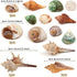 Hermit Crab Sea Shells Natural Coconut Shell Hut, Artificial Plants for Hermit Crab Tank Hide Reptile Supplies - 22 PCS