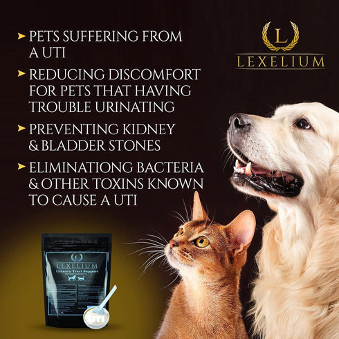 Organic UTI Support for Dogs and Cats - Fortified with Cranberry, D Mannose, Curcumin - Optimizes Kidney & Bladder