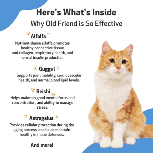 Pet Wellbeing Old Friend for Senior Cats - Supports Immune System Health, Joint Mobility, Herbal Supplement 2 oz