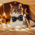 2 Pack Cat Collar with Bow Tie and Bell, Breakaway Starshine Collar for Male Female Cats (Black+Purple)