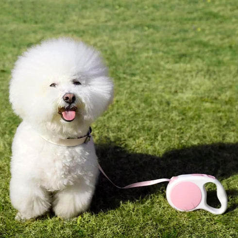 Pink Retractable Dog Leash, 10 ft for Small and Medium Dogs and Cats, One Button Brake, Pause, Lock by LFCXHTY