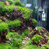 MiOYOOW CO2 Drop Checker, Aquarium CO2 Monitor, CO2 Detector without Solution for Planted Tank, Easy to Observe Results